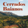 Cerrados Baianos: abordagens interdisciplinares