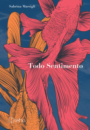 Todo Sentimento Capa Frente