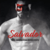 Salvador: uma narrativa envolvente