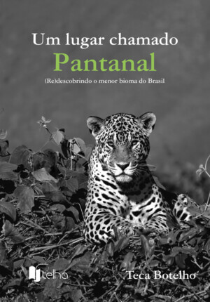 Um lugar chamado Pantanal: (re)descobrindo o menor bioma do Brasil